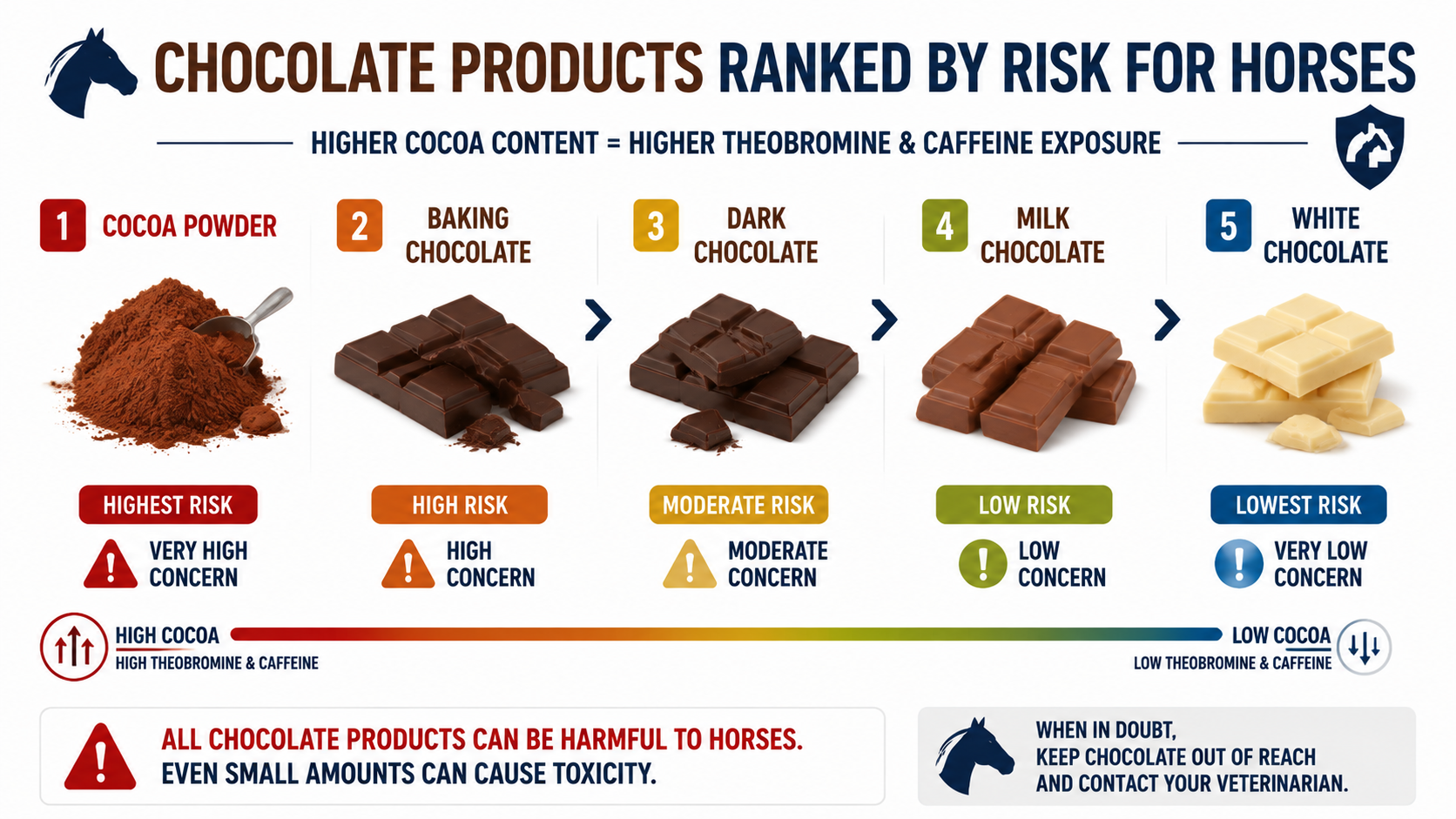 Veterinary infographic ranking chocolate products by risk for horses, showing cocoa powder, baking chocolate, dark chocolate, milk chocolate, and white chocolate based on theobromine and caffeine exposure
