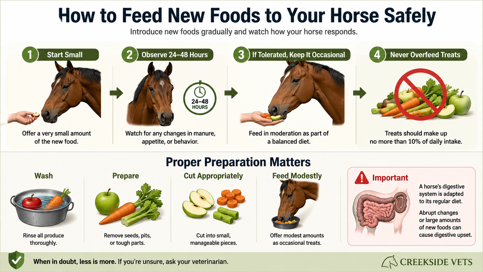 How to safely introduce new foods to a horse, including small portions, gradual introduction, proper preparation, and moderation.