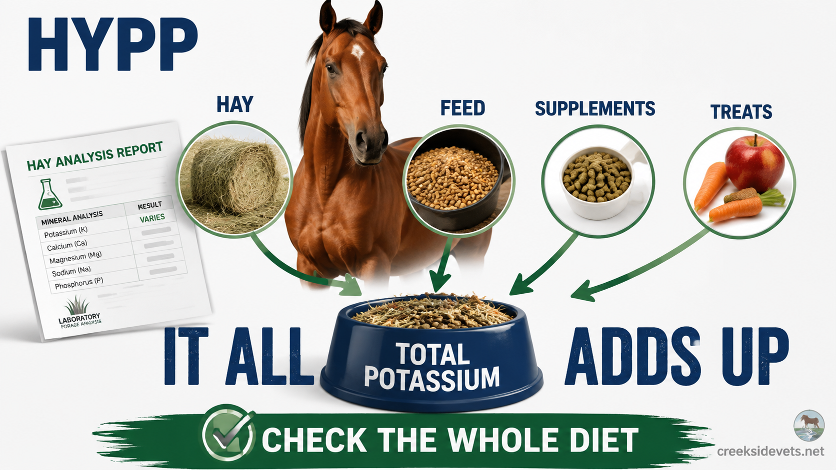 HYPP horse potassium guide showing hay, pasture, feed, supplements, and treats contributing to total potassium intake