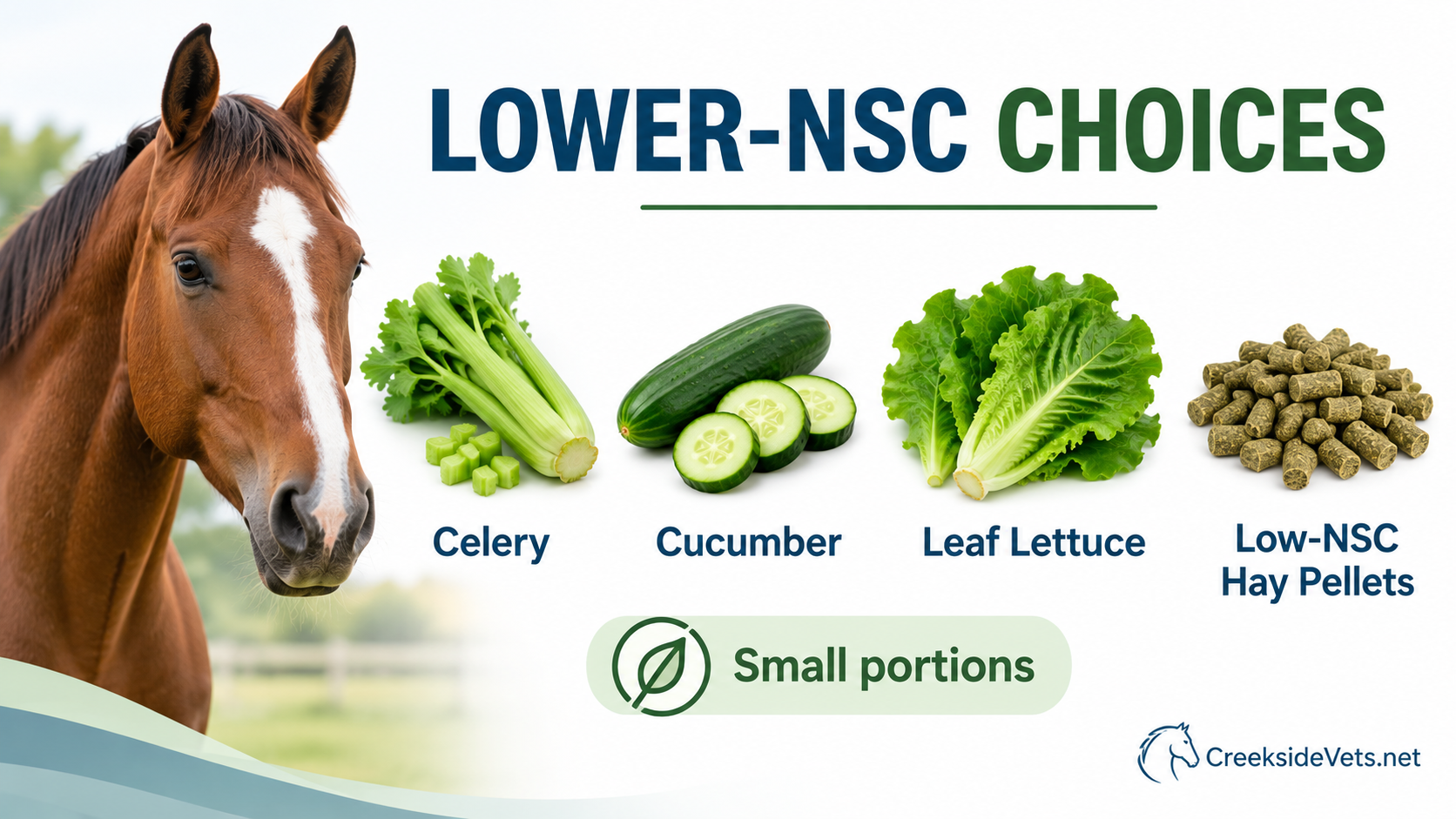 Infographic displaying lower-NSC horse treat options including celery, cucumber, leaf lettuce, and low-NSC hay pellets for metabolic horses.