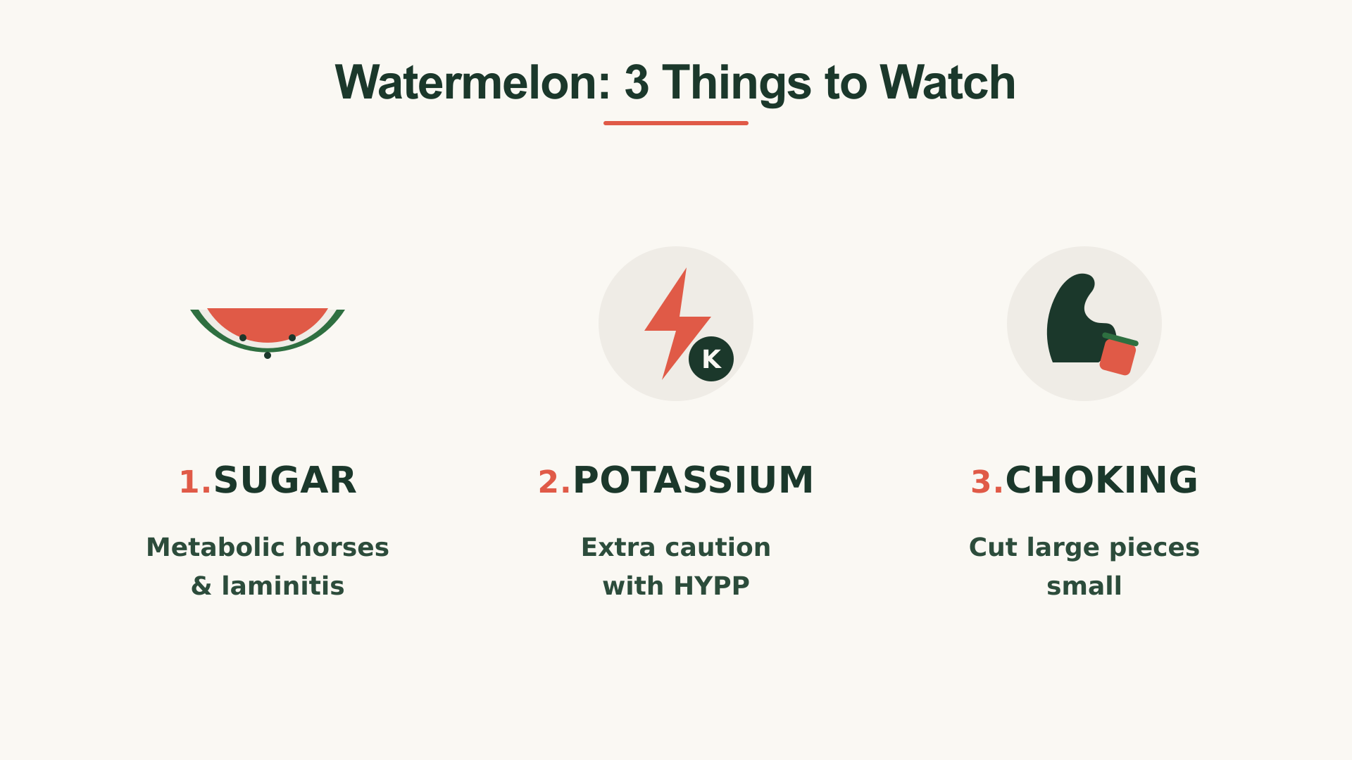 Illustration showing three watermelon risks for horses: sugar for metabolic horses and laminitis, potassium for horses with HYPP, and choking from large pieces.